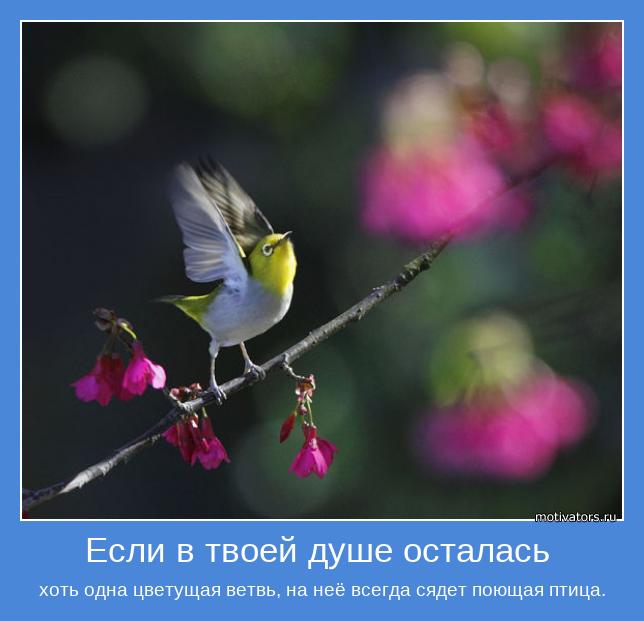 хоть одна цветущая ветвь, на неё всегда сядет поющая птица.