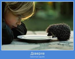 первый шаг к дружбе