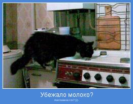 А кот вам на что? )))