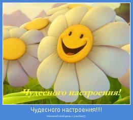 Начинай свой день с улыбки)))