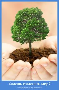 Посади дерево и мир изменится.