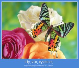 пора превращаться в бабочек … Весна …