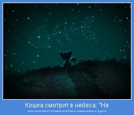 летит ли колбаса?"И важна не колбаса -важно верить в чудеса!