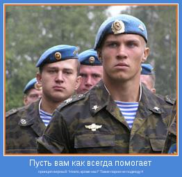 принцип верный: “Никто, кроме нас!" Такие парни не подведут!