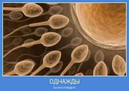 ТЫ УЖЕ ПОБЕДИЛ!
