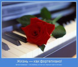 Белые клавиши — это любовь и счастье, чёрные горе и печаль!