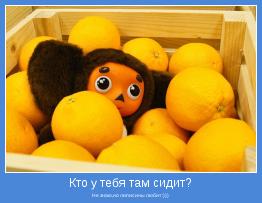 Не знаю,но липисины любит :)))