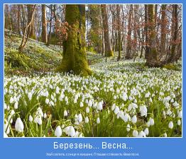 Хай світить сонце в вишині, Пташки співають Вам пісні.