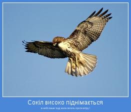 в небі лише тоді, коли летить проти вітру !