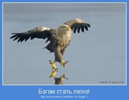 Достаточно лишь пройтись по воде! :)
