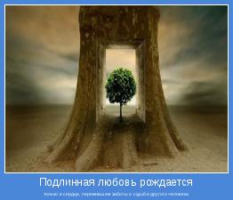 только в сердце, пережившем заботы о судьбе другого человека