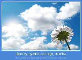 быть цветком, а человеку нужно любить, чтобы быть человеком