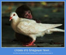 того бесчисленного множества мыслей и чувств,которые живут в