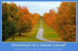 пока ты видишь дорогу, продолжай идти куда бы она ни привела