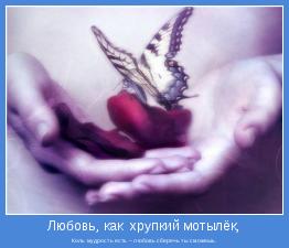  Коль мудрость есть – любовь сберечь ты сможешь.