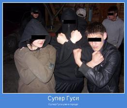 Супер Гуси уже в городе