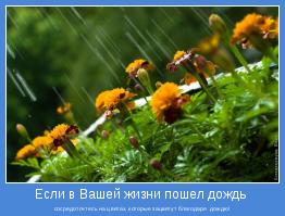 сосредоточьтесь на цветах, которые зацветут благодаря  дождю