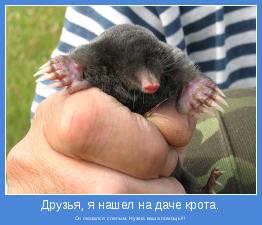 Он оказался слепым. Нужна ваша помощь!!!