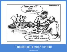 сожрала белка