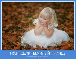 Зима уж скоро! Где ты бродишь?.