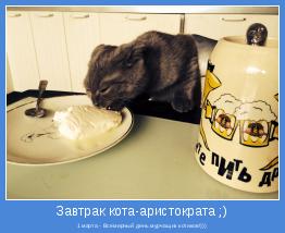 1 марта - Всемирный день мурчащих котиков!)))
