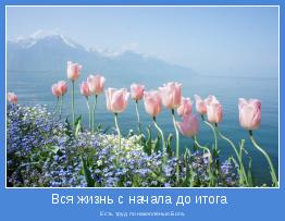  Есть труд по накопленью Бога.
