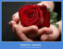  остается на руке дарящей цветы....