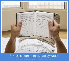 станешь ты не мудрецом, а  всего лишь книжным шкафом...